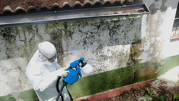 Mold Remediation service in Redmond, Redmond, OR